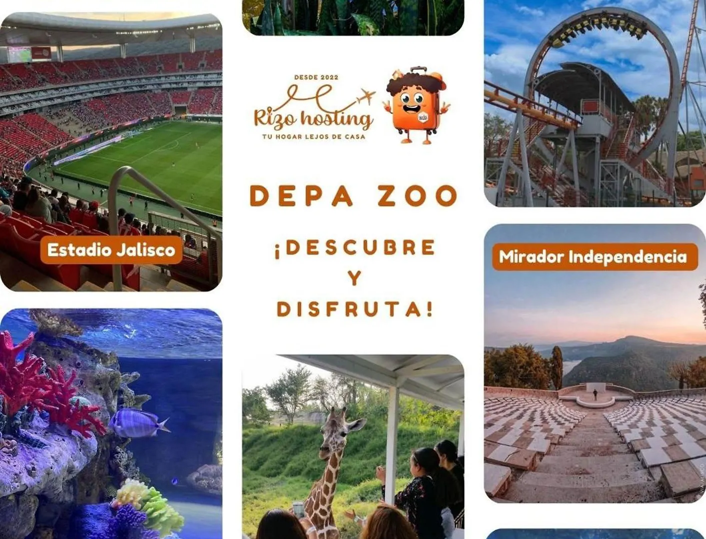 Departamento Cerca De Zoologico Y Estadio Jalisco Guadalajara 0*,  Mexico